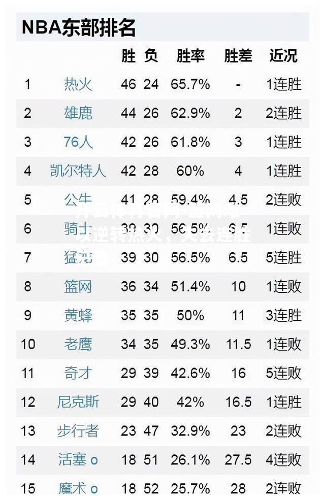 篮网难以逆转热火，失去连胜纪录